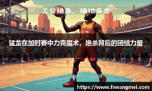 mk体育官网