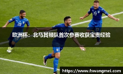 mk体育官网