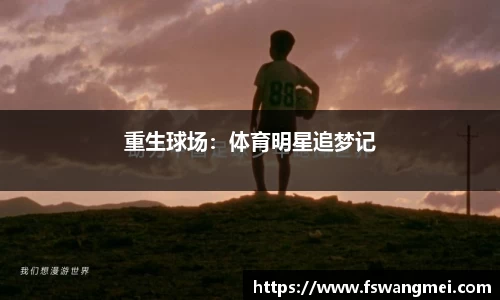 重生球场：体育明星追梦记