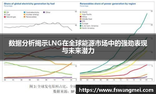 数据分析揭示LNG在全球能源市场中的强劲表现与未来潜力