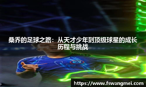 桑乔的足球之路：从天才少年到顶级球星的成长历程与挑战