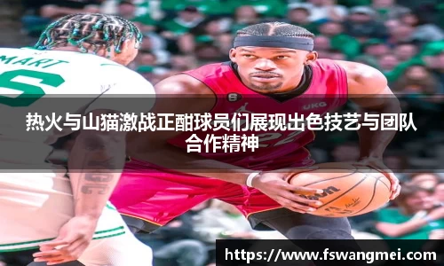 热火与山猫激战正酣球员们展现出色技艺与团队合作精神