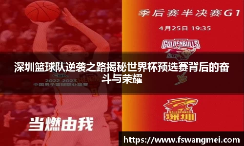 mk体育官网